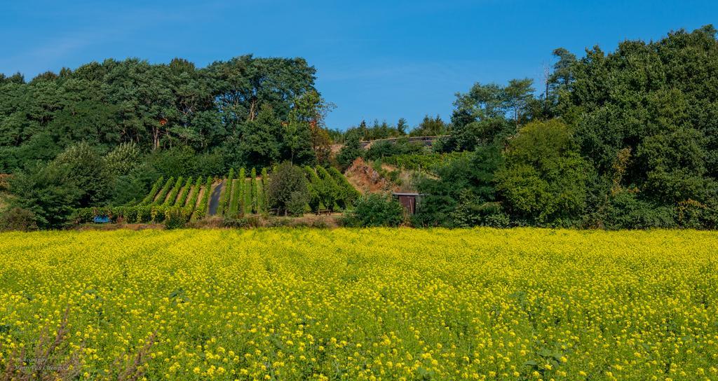 B&B Silentium Tielt Exteriér fotografie