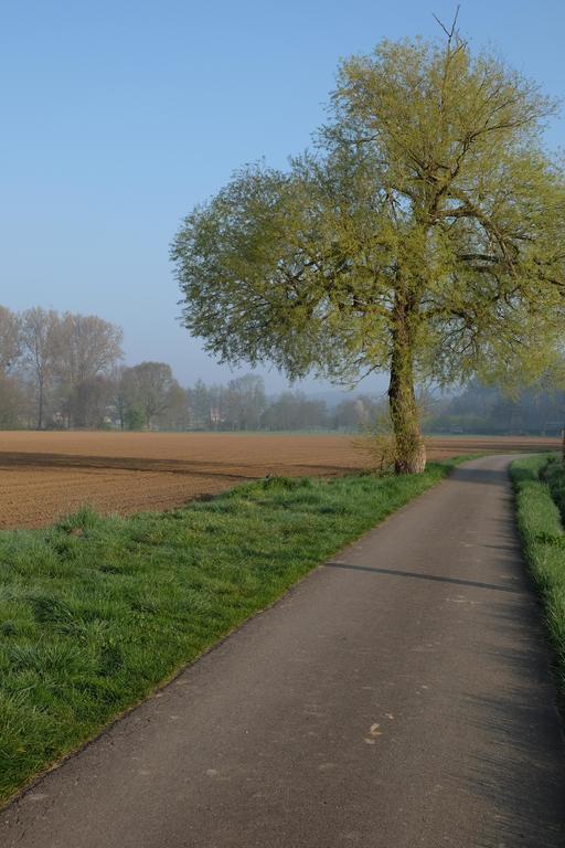 B&B Silentium Tielt Exteriér fotografie