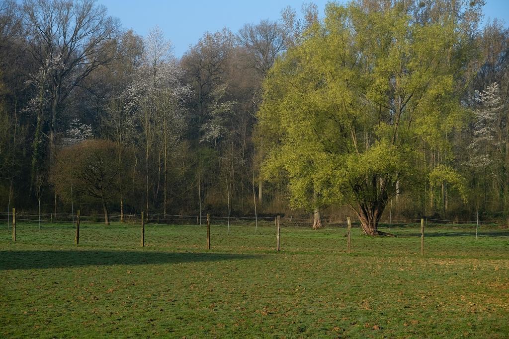 B&B Silentium Tielt Exteriér fotografie