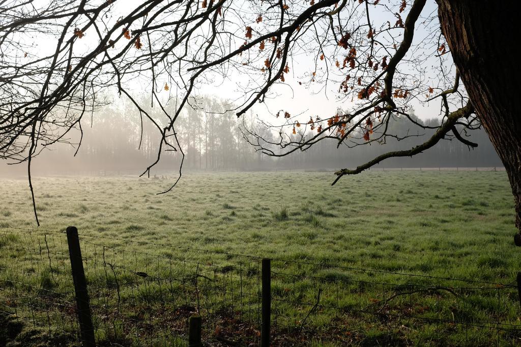 B&B Silentium Tielt Exteriér fotografie