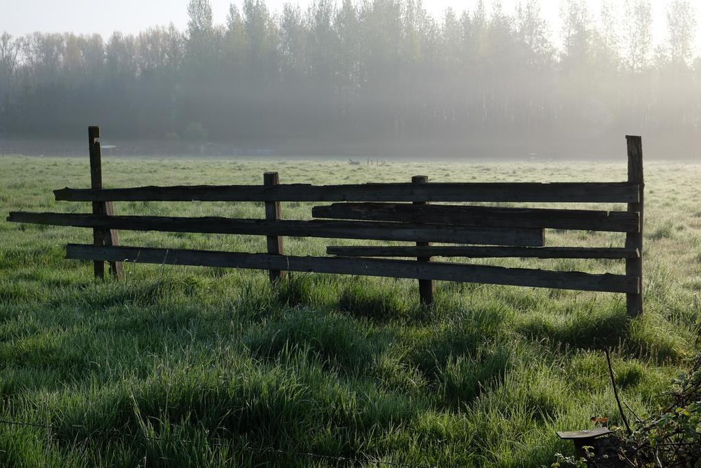B&B Silentium Tielt Exteriér fotografie